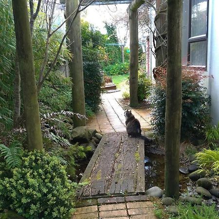 Secret Cottage Waitara Extérieur photo