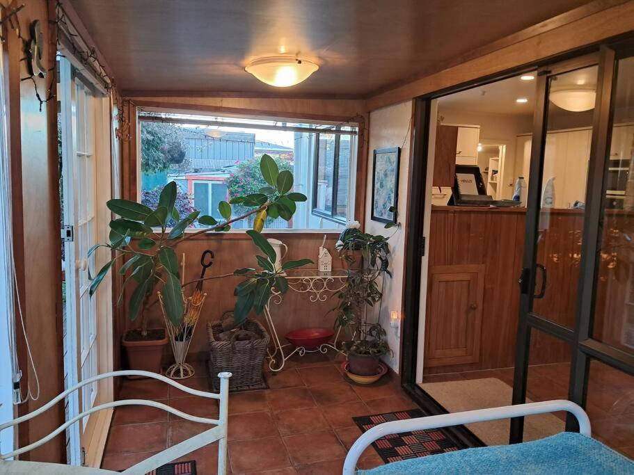 Secret Cottage Waitara Extérieur photo