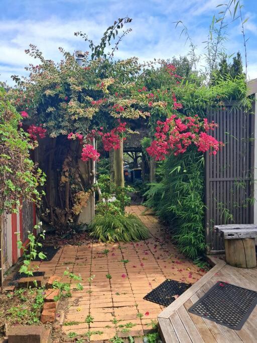 Secret Cottage Waitara Extérieur photo