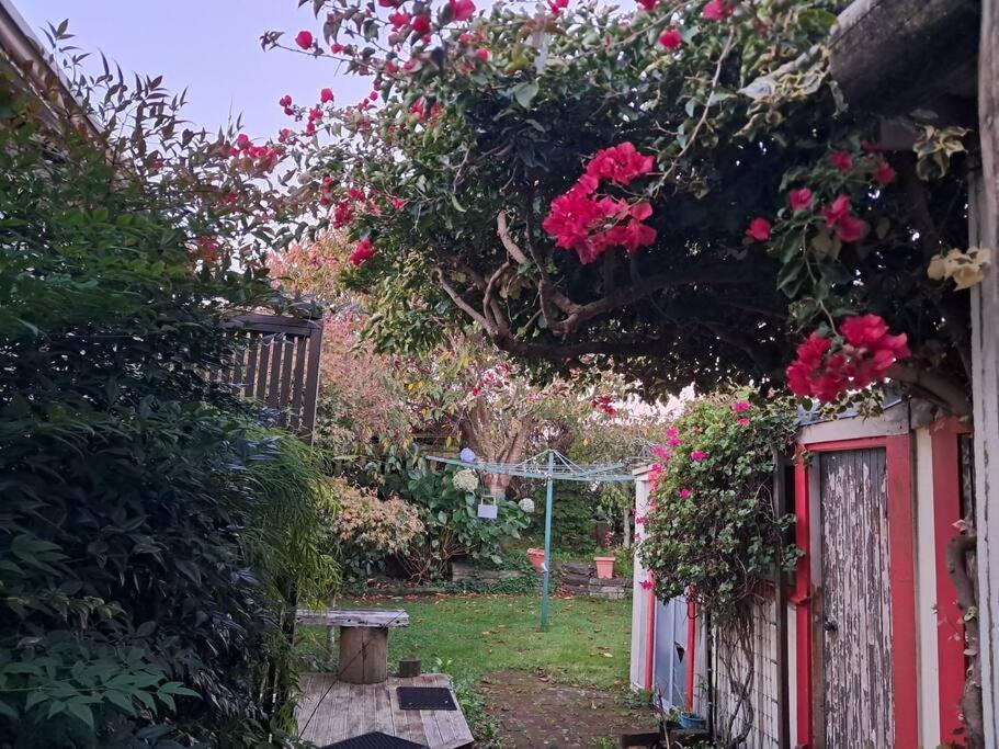 Secret Cottage Waitara Extérieur photo