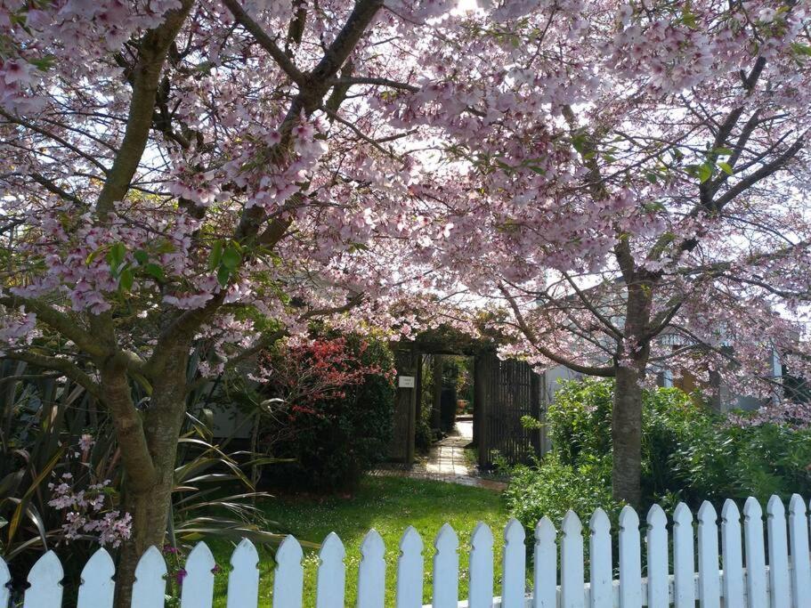 Secret Cottage Waitara Extérieur photo